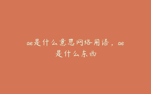 ae是什么意思网络用语，ae是什么东西