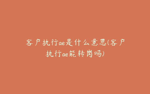 客户执行ae是什么意思(客户执行ae能转岗吗)