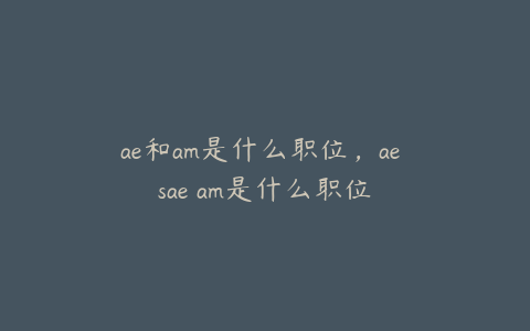 ae和am是什么职位，ae sae am是什么职位