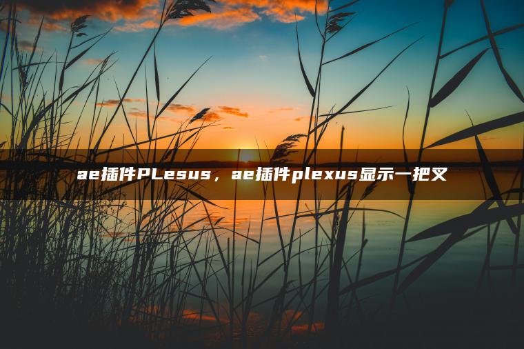 ae插件PLesus，ae插件plexus显示一把叉