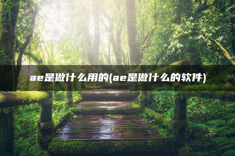 ae是做什么用的(ae是做什么的软件)