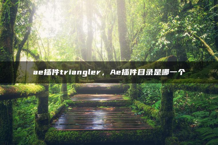 ae插件triangler，Ae插件目录是哪一个