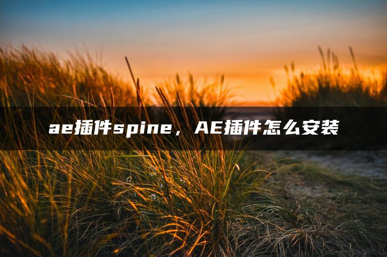 ae插件spine，AE插件怎么安装