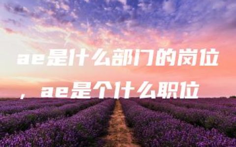 ae是什么部门的岗位，ae是个什么职位