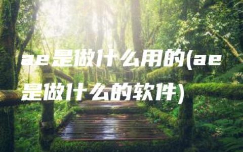 ae是做什么用的(ae是做什么的软件)