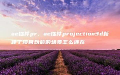 ae插件pr，ae插件projection3d新建了项目以前的场景怎么还在