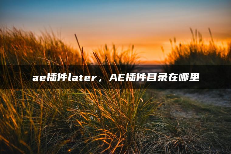 ae插件later，AE插件目录在哪里