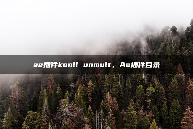 ae插件konll unmult，Ae插件目录