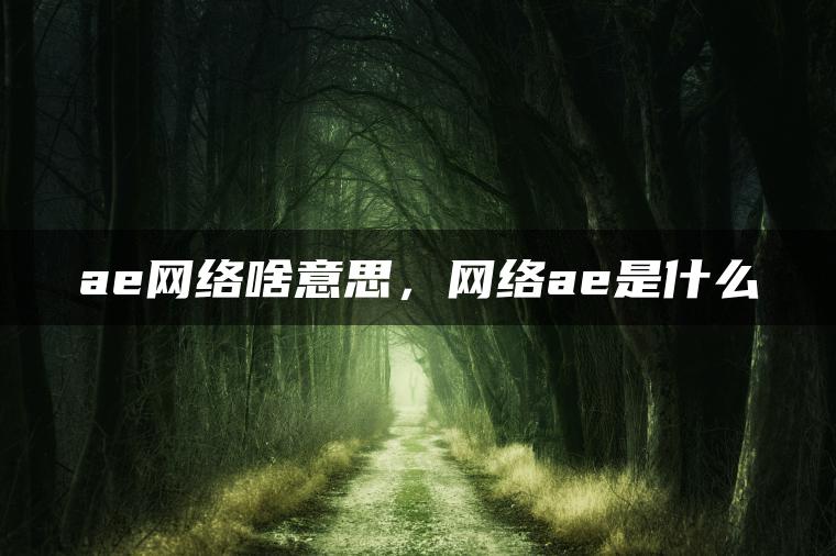 ae网络啥意思，网络ae是什么