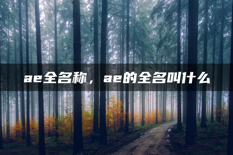 ae全名称，ae的全名叫什么