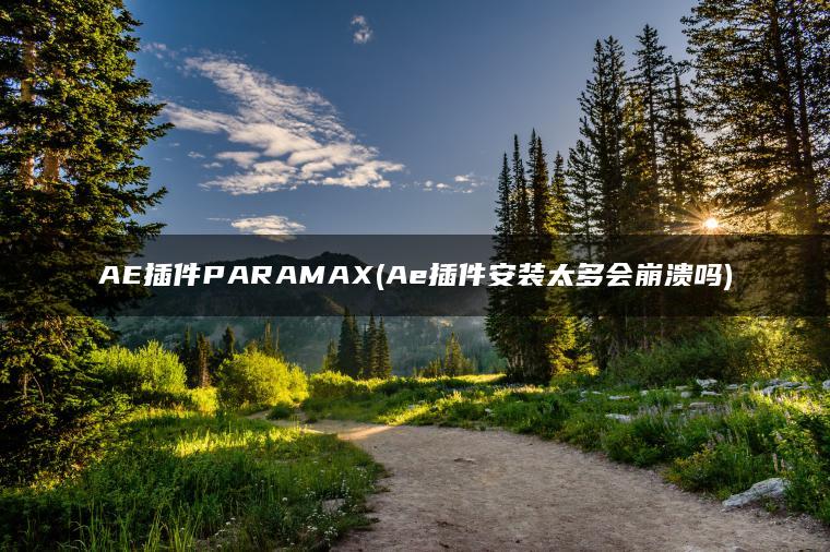 AE插件PARAMAX(Ae插件安装太多会崩溃吗)