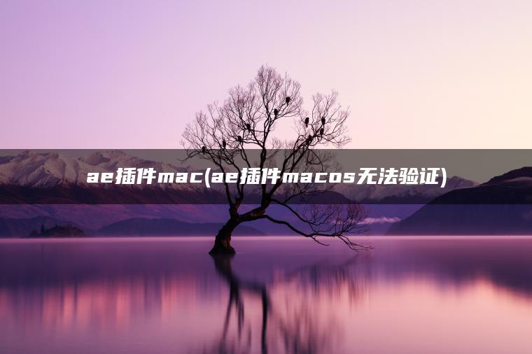 ae插件mac(ae插件macos无法验证)