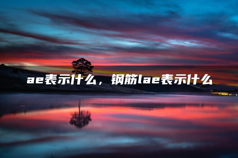 ae表示什么，钢筋lae表示什么