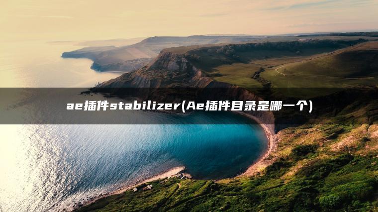 ae插件stabilizer(Ae插件目录是哪一个)