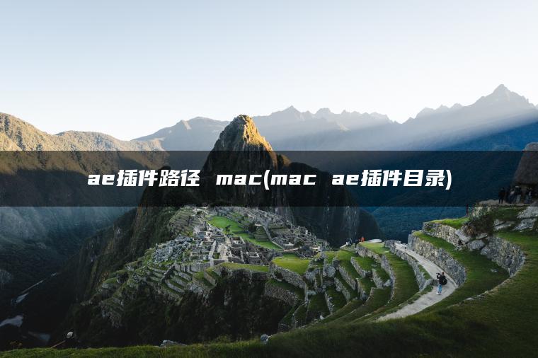 ae插件路径 mac(mac ae插件目录)