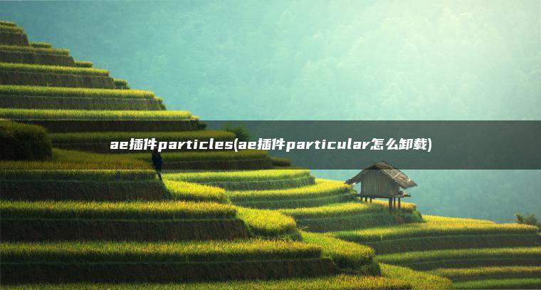 ae插件particles(ae插件particular怎么卸载)