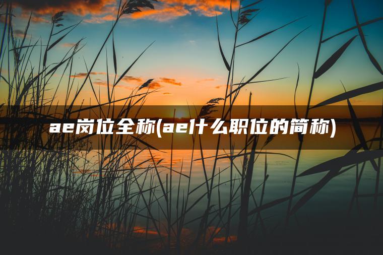 ae岗位全称(ae什么职位的简称)