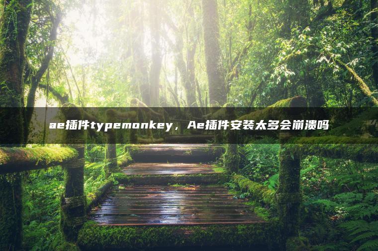 ae插件typemonkey，Ae插件安装太多会崩溃吗