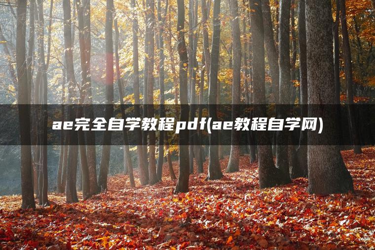 ae完全自学教程pdf(ae教程自学网)