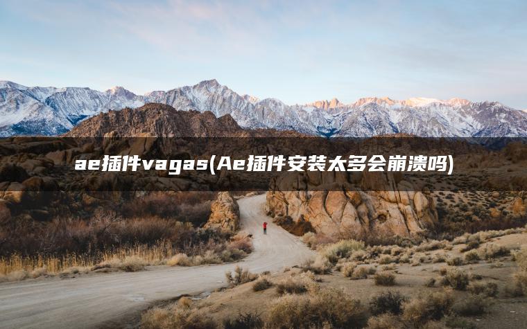 ae插件vagas(Ae插件安装太多会崩溃吗)