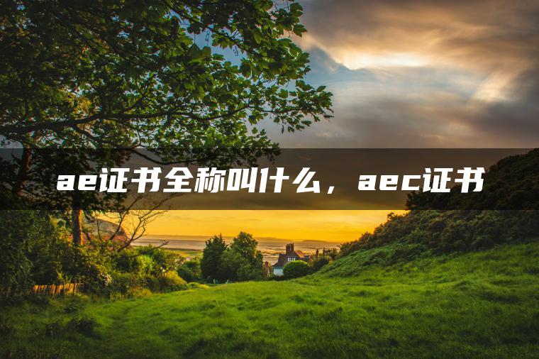 ae证书全称叫什么，aec证书