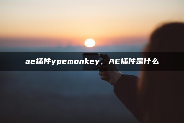 ae插件ypemonkey，AE插件是什么