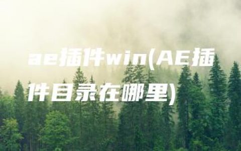 ae插件win(AE插件目录在哪里)