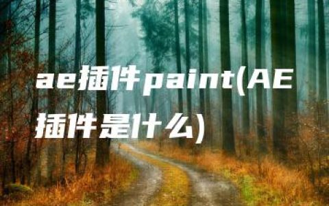 ae插件paint(AE插件是什么)