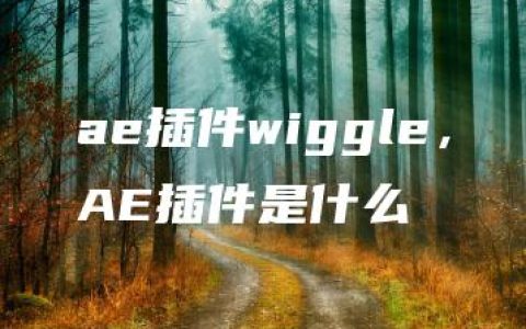 ae插件wiggle，AE插件是什么