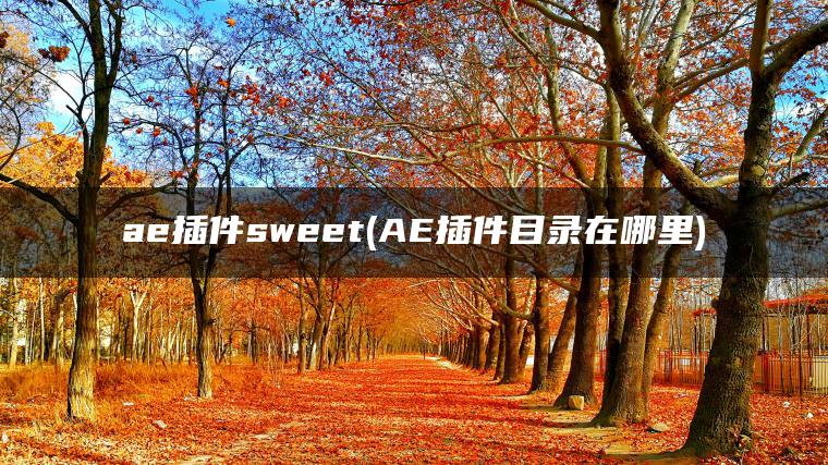 ae插件sweet(AE插件目录在哪里)