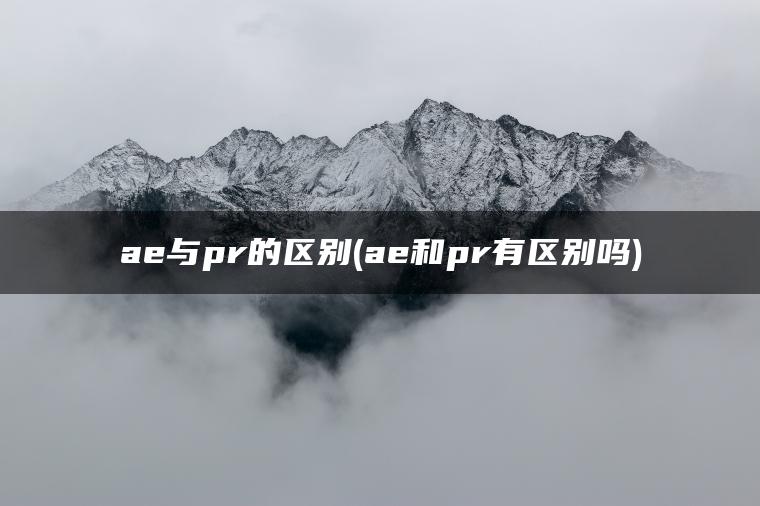 ae与pr的区别(ae和pr有区别吗)