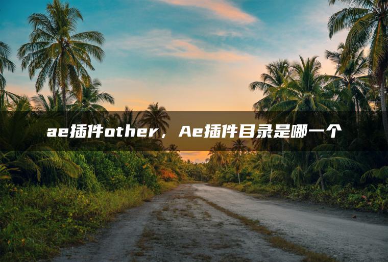 ae插件other，Ae插件目录是哪一个