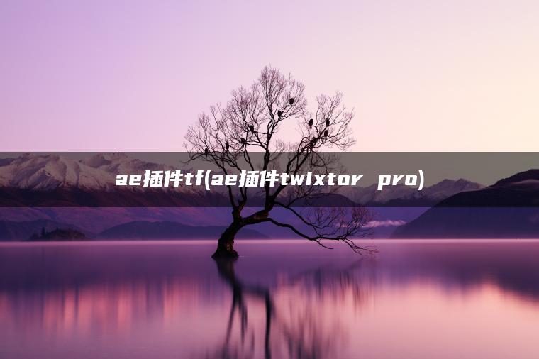 ae插件tf(ae插件twixtor pro)