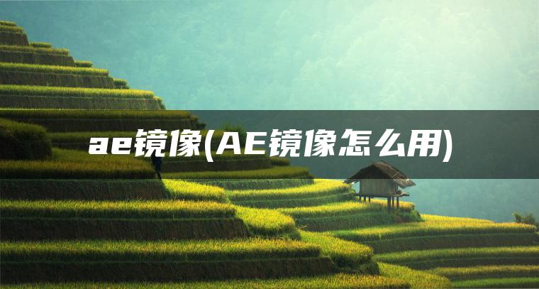 ae镜像(AE镜像怎么用)