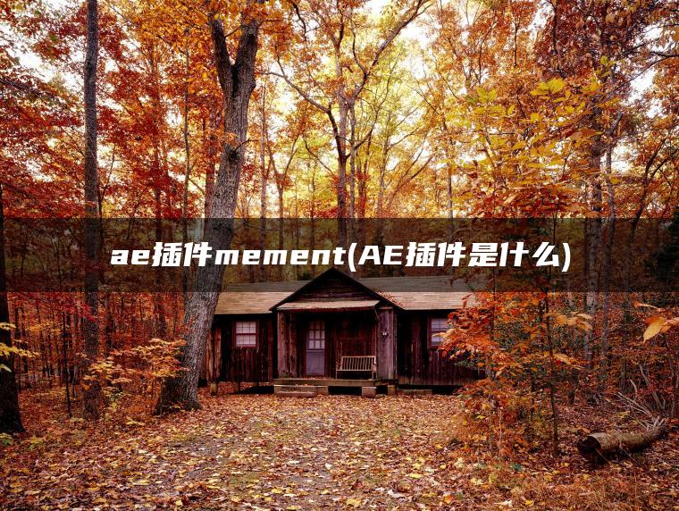 ae插件mement(AE插件是什么)