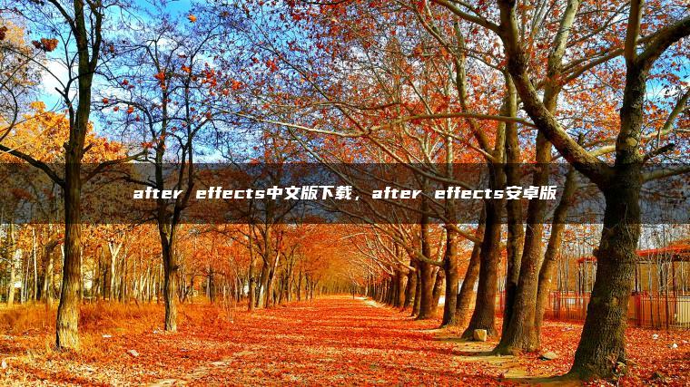 after effects中文版下载，after effects安卓版