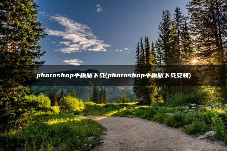 photoshop平板版下载(photoshop平板版下载安装)