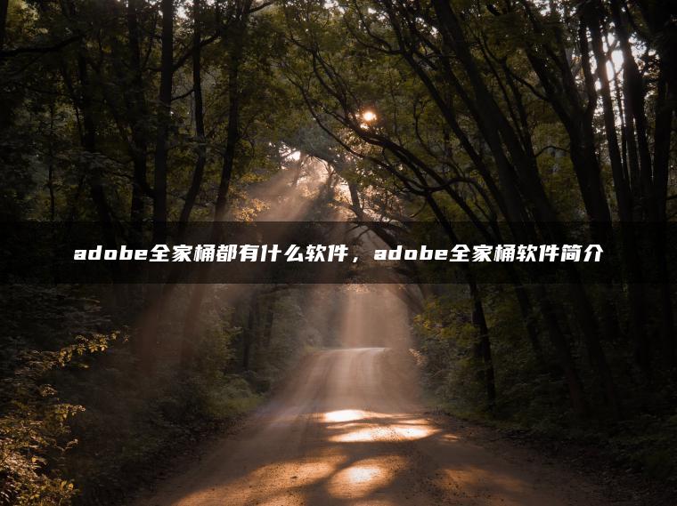 adobe全家桶都有什么软件，adobe全家桶软件简介