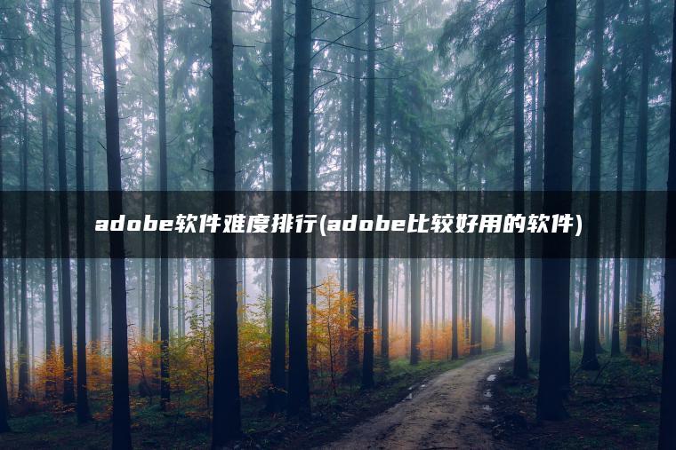 adobe软件难度排行(adobe比较好用的软件)