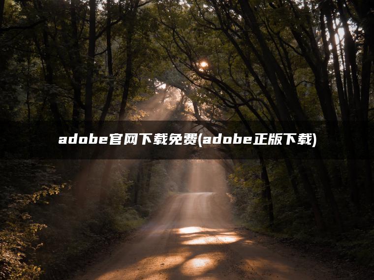 adobe官网下载免费(adobe正版下载)