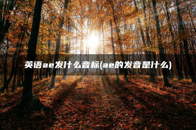 英语ae发什么音标(ae的发音是什么)