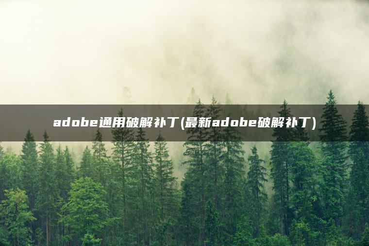 adobe通用破解补丁(最新adobe破解补丁)