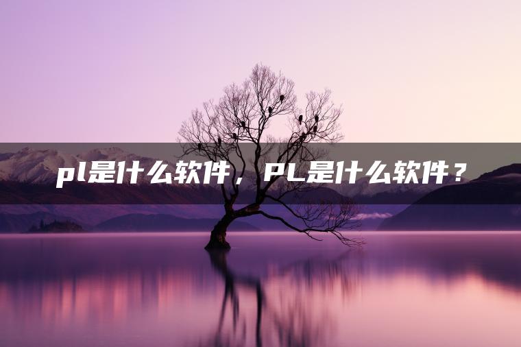 pl是什么软件，PL是什么软件？