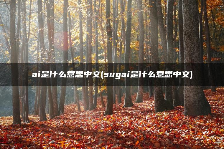 ai是什么意思中文(sugai是什么意思中文)