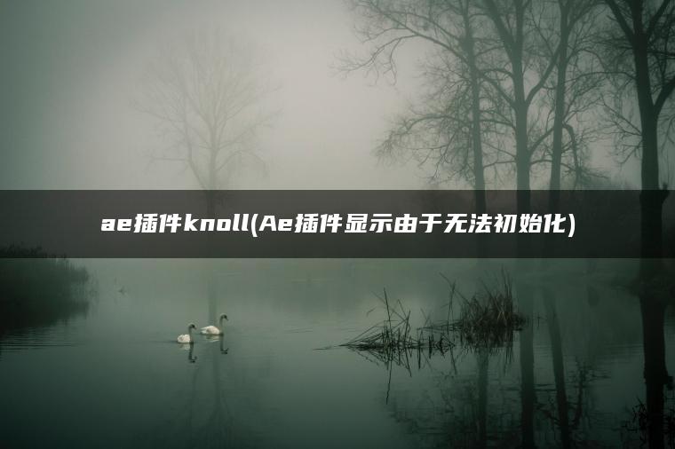 ae插件knoll(Ae插件显示由于无法初始化)