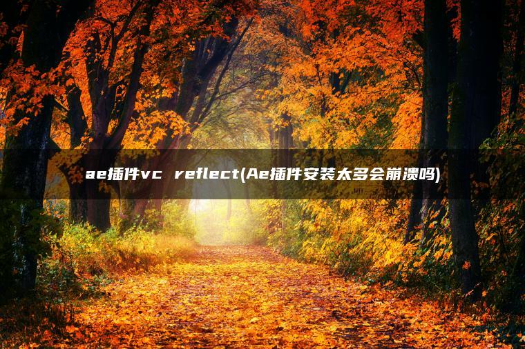 ae插件vc reflect(Ae插件安装太多会崩溃吗)