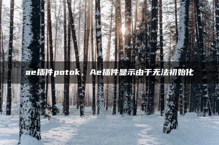 ae插件potok，Ae插件显示由于无法初始化