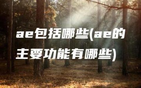 ae包括哪些(ae的主要功能有哪些)