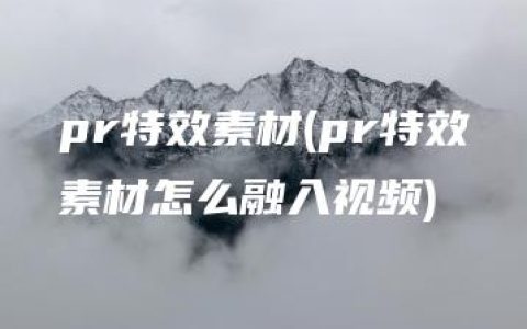 pr特效素材(pr特效素材怎么融入视频)