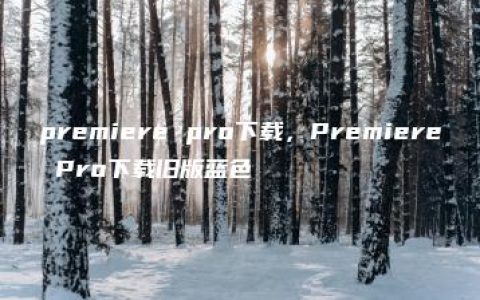 premiere pro下载，Premiere Pro下载旧版蓝色